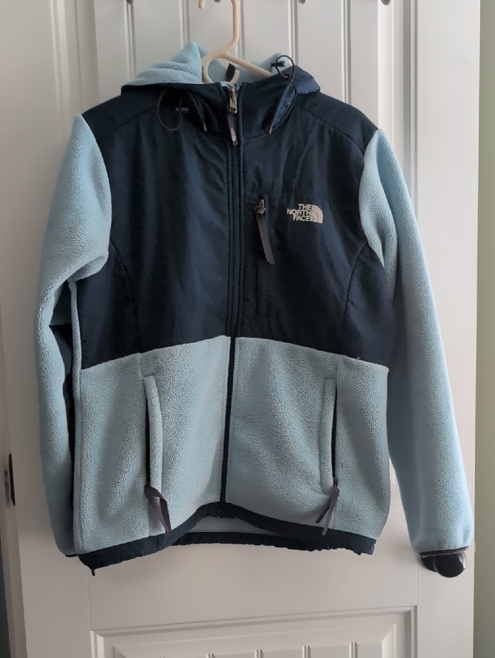 The North Face Light Blue and Teal Hooded Fleece Jacket